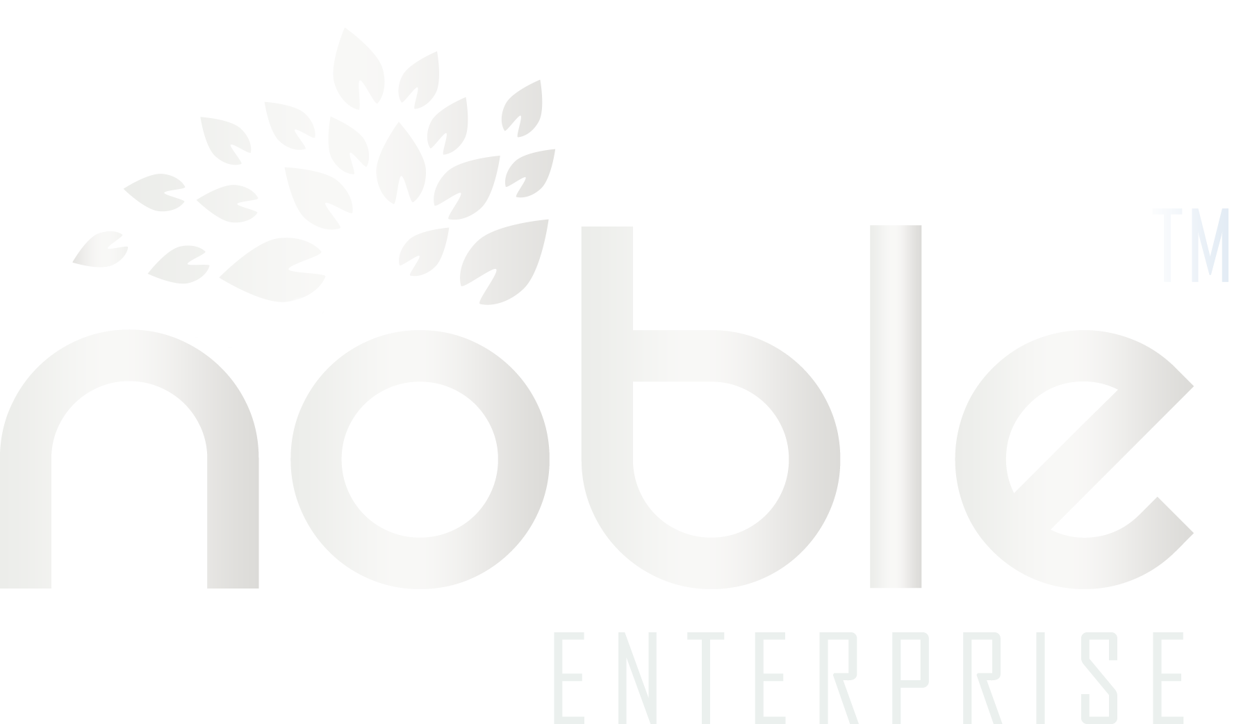 Noble Enterprise